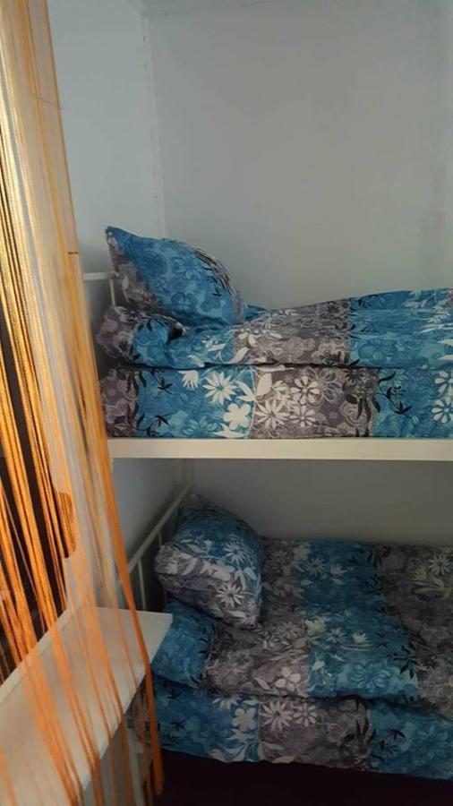Hostel Belgrade Shungit Dragana Jeftica Br 10 المظهر الخارجي الصورة