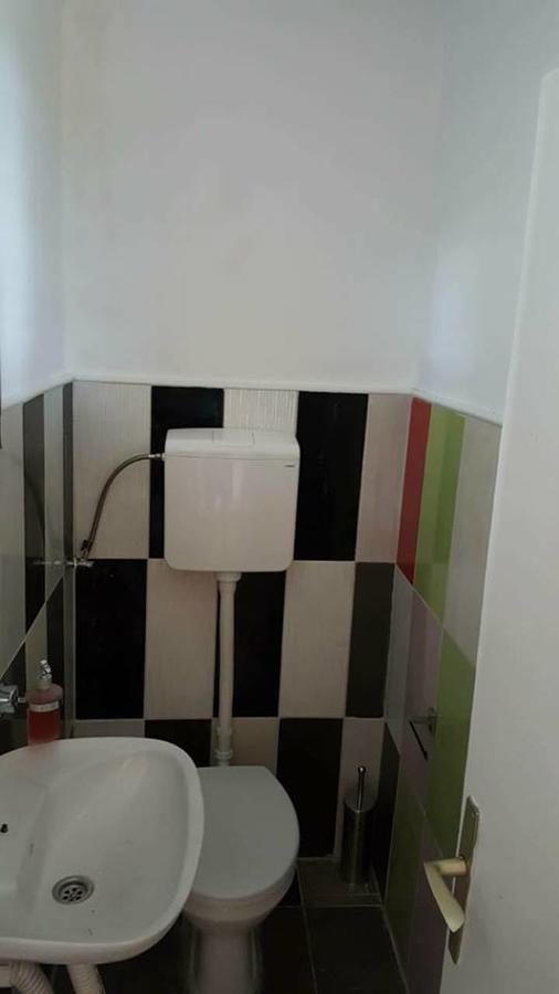 Hostel Belgrade Shungit Dragana Jeftica Br 10 المظهر الخارجي الصورة
