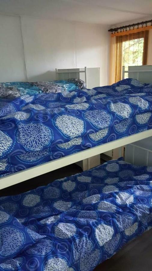 Hostel Belgrade Shungit Dragana Jeftica Br 10 المظهر الخارجي الصورة