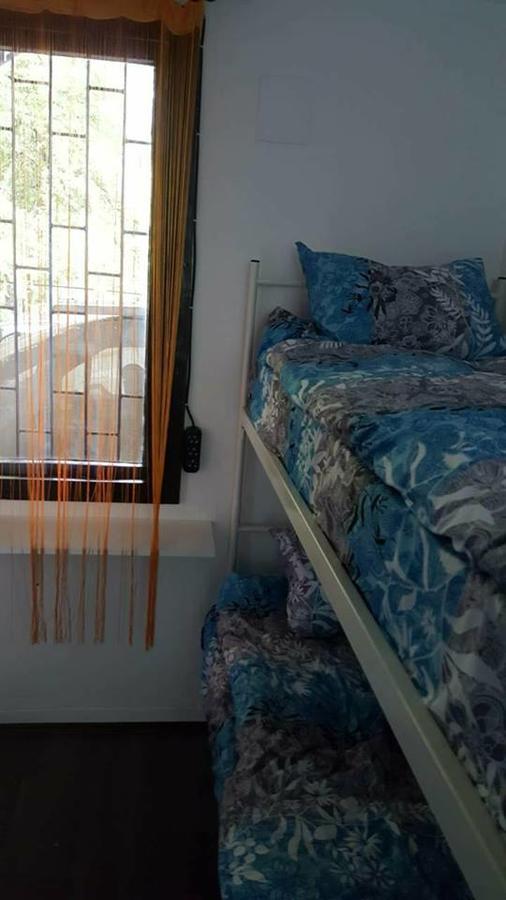 Hostel Belgrade Shungit Dragana Jeftica Br 10 المظهر الخارجي الصورة