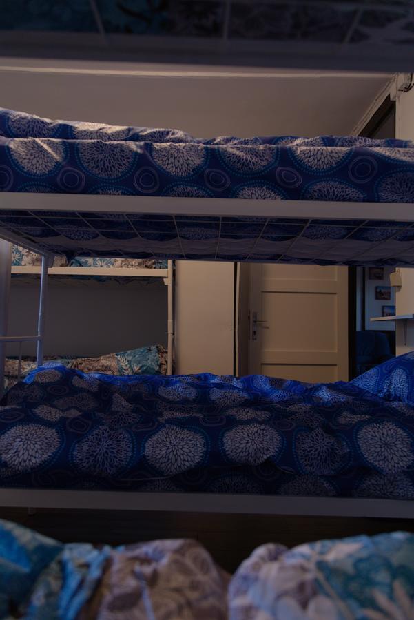 Hostel Belgrade Shungit Dragana Jeftica Br 10 المظهر الخارجي الصورة